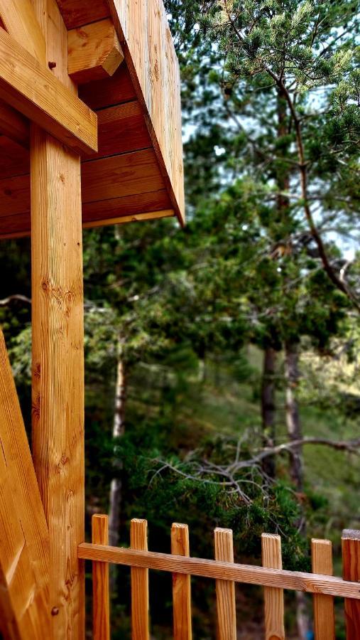 Chalet L'Empreinte Сент-Етьєнн-де-Тіне Екстер'єр фото